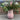 Orchid Glaze Sample Vase #2