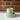 Eucalyptus Bubble Cup & Saucer