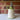 Small orchid oil pourer