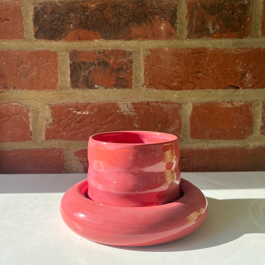 Raspberry Sorbet Bubble Cup & Saucer