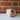 Fish Mug  #43