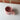 Blossom whale tail mini mug