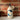 Sea life oil pourer #9