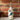 Sea life oil pourer #2