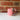 Fish Mug  #35