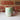 Fish Mug  #18