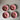 Scallop Shell Trinket Dish