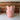 Coral sample vase