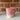 Sample blossom mug
