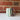 Fish Mug  #31
