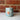 Sunrise shell cup (aqua)