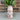 Orchid Glaze Sample Vase #3