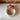 Orchid Dish #4