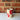 sample hibiscus to-go cup